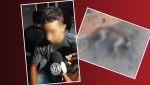 Homem mata cachorro com tiro de espingarda