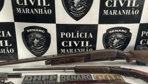 Polícia apreende quatro armas de fogo em sítio de Timon