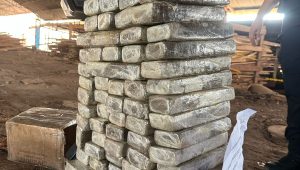 Foto: reprodução/PCMA