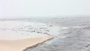 Governo antecipa campanha de combate à dengue para prevenir óbitos