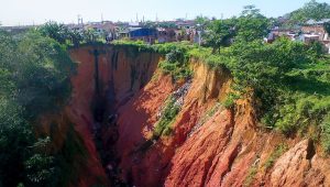 Foto: Reprodução/Marcelino Farias/UFMA
