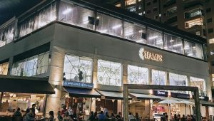 Justiça determina demolição de empreendimentos em áreas de proteção ambiental na Ponta D’Areia