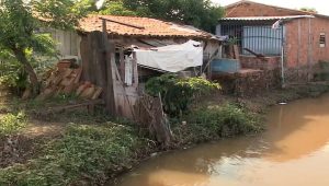 Maranhenses ainda utilizam buracos para dejeções