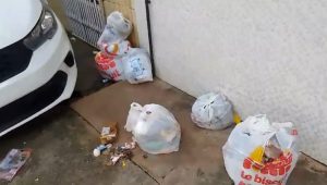 Moradores reclamam da falta de coleta de lixo