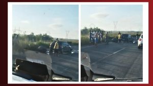 Vídeo: Acidente com búfalo na BR-135 deixa um ferido