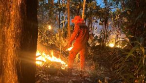Corpo de Bombeiros amplia operação de combate a incêndios em reservas indígenas