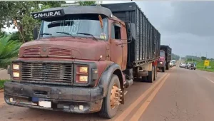 Carregamentos irregulares de animais são interceptados em Açailândia pela PRF