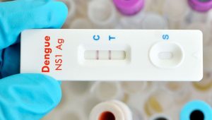 Maranhão vai receber 7,9 mil testes rápidos para diagnóstico de dengue