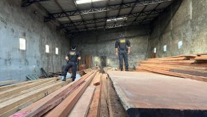 Operação contra fraudes ambientais é deflagrada no interior do Maranhão