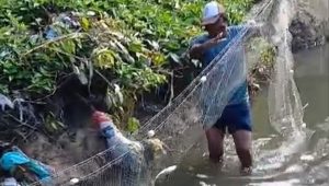 Vídeo: homens são flagrados pescando no esgoto em vala da Cidade Olímpica