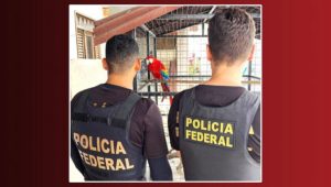 PF e Ibama suspendem atividades de empresas suspeitas de fraude ambiental