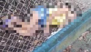 Mulher é encontrada morta na Reserva do Itapiracó