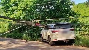 Motorista perde a direção e derruba postes de energia na Maiobinha; veja vídeo