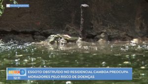 Foto: reprodução/TV Difusora 