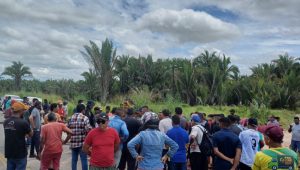 Após protesto de indígenas, BR-316 é liberada