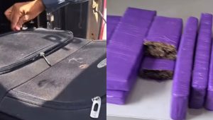 Adolescente é apreendida após ser flagrada com maconha dentro de mala em ônibus estadual