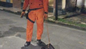 Corpo de Bombeiros resgata jiboia em residência no bairro João de Deus