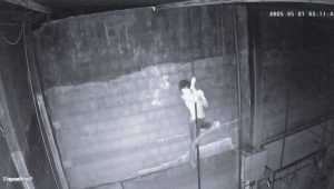 “Cão Miúdo” é apreendido em Grajaú por série de furtos