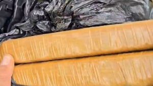 Polícia apreende 2 kg de maconha durante ronda em área de mata na Raposa