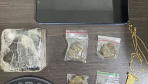 Polícia Militar apreende drogas no Parque Araçagy
