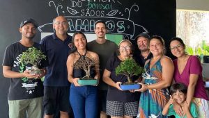 “Senhor Miyagi” maranhense transformou hobby em negócio e criou a primeira loja de bonsai de São Luís