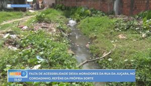 Foto: reprodução/TV Difusora 