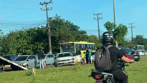 Reprodução: imagem de divulgação