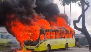 Vídeo: ônibus pega fogo na Forquilha