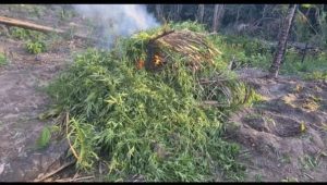 Foto: divulgação/ PC-MA