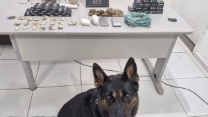 Foto: reprodução/Polícia Civil 