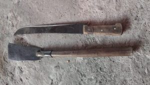 Foto: divulgação/ Guarda Municipal de Tutóia