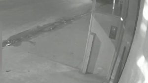 Vídeo: Veja o momento que ônibus colide com veículo; uma pessoa morreu no local