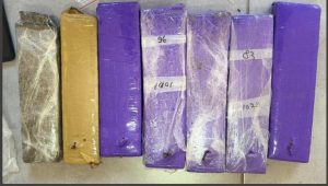 Foto: reprodução/PCMA