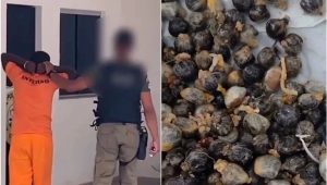 Reprodução/Redes sociais