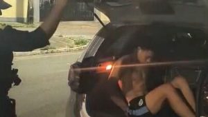 Foto: divulgação GMSL