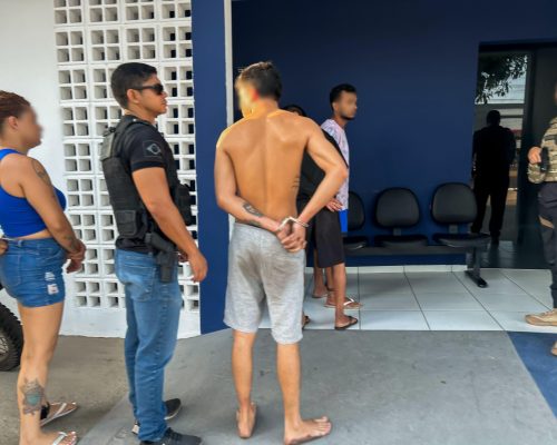 Oito integrantes de grupo que praticava golpes contra idosos são presos em São Luís