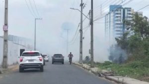 Vídeo: incêndio atinge vegetação em terreno no Turu e fumaça dificulta o trânsito na região