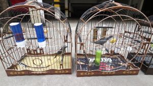 Foto: reprodução/Polícia Civil 