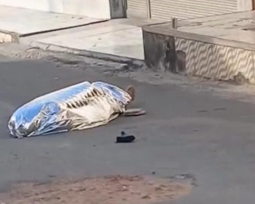 Vídeo: idoso é morto em tentativa de assalto no Cohatrac V