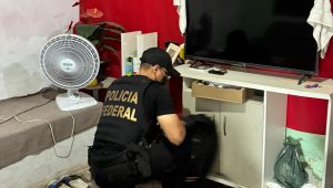 PF investiga fraude milionária no INSS no Maranhão; prejuízo já chega a R$ 1,45 milhão