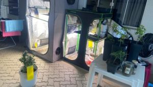 Foto: divulgação/ PC-MA