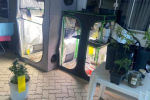 Foto: divulgação/ PC-MA