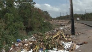 Moradores denunciam lixão irregular às margens da BR-135 no Anjo da Guarda, em São Luís