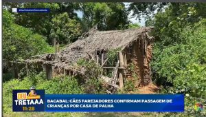 14° dia: relembre as buscas pelos irmãos desaparecidos em Bacabal