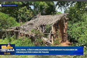 14° dia: relembre as buscas pelos irmãos desaparecidos em Bacabal