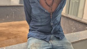 Foto: divulgação/ PCMA