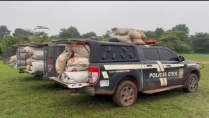 Foto: divulgação/ PC-MA