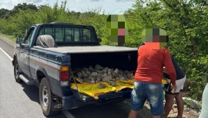 Foto: divulgação/ PC-MA