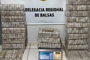 250kg de drogas são apreendidas e incineradas em Balsas