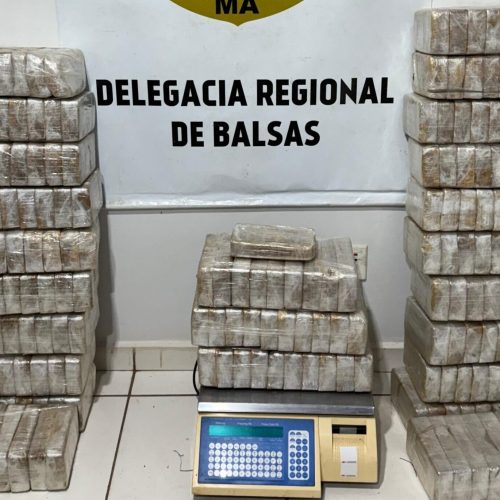 250kg de drogas são apreendidas e incineradas em Balsas